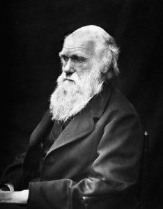 Charles Darwin 234x300 234x300 - Charles_Darwin-234x300