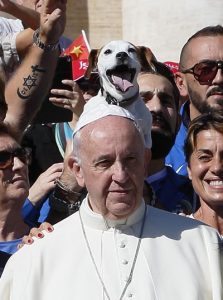 A dog sticks out his tongue as Pope Francis poses with members of an agility dog club during his general audience in St. Peter's Square at the Vatican Oct. 5. (CNS photo/Paul Haring) See POPE-AUDIENCE-MISSION Oct. 5, 2016.