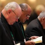 20181113T1053 0436 CNS BISHOPS MEETING 1 150x150 - Celebrate Pentecost by rejecting racism, Italian bishops say