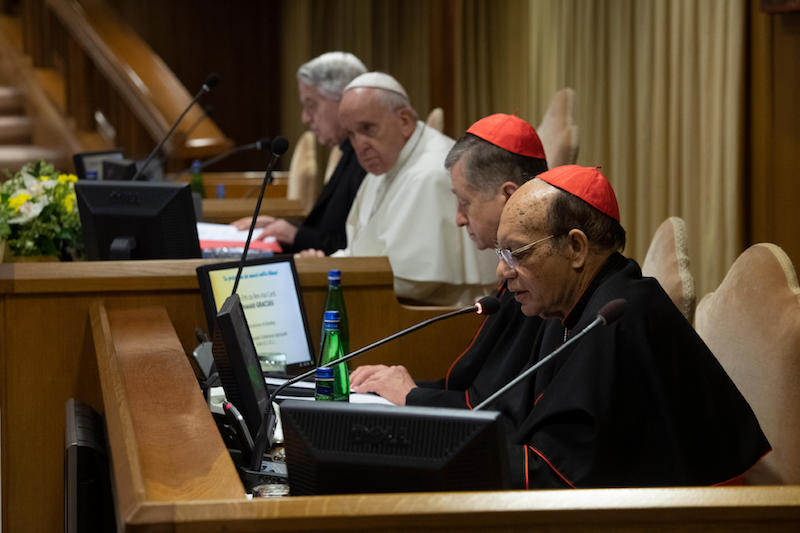 Can the church step up, lead way in protecting children, cardinal asks