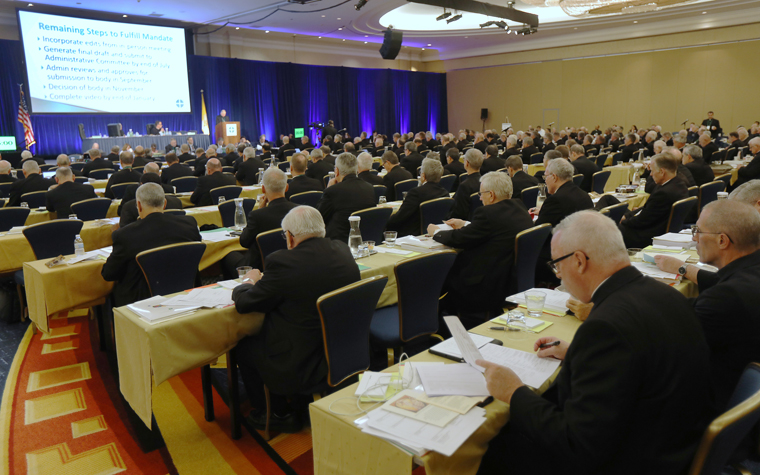 Bishops’ actions at spring meeting called a ‘work in progress’