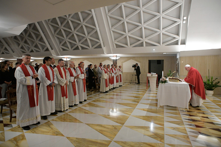 Remember your politicians in prayer, pope says