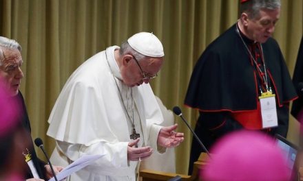 Fighting abuse: What Pope Francis has done during his pontificate