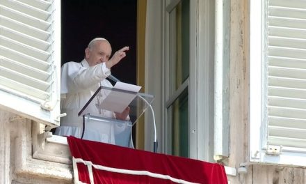 Seek God through a relationship with Christ, others, pope says at Angelus