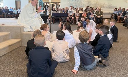 First Communion: children across the diocese have received the Body of Christ