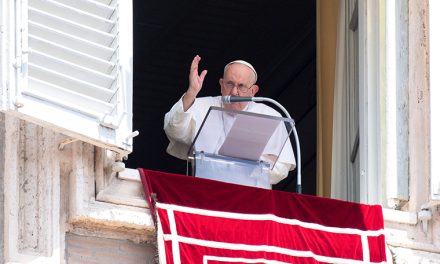 Sow seeds of faith, even when their fruits are not immediate, pope says